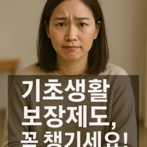 기초생활보장제도