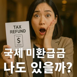 국세 미환급금 찾기