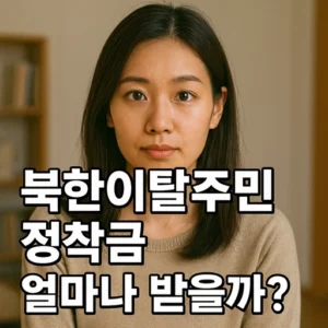 북한이탈주민 정착금