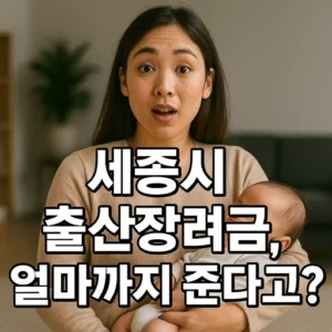 세종시 출산장려금