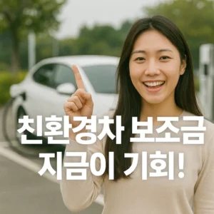 친환경차 보조금