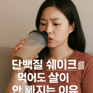 단백질 쉐이크를 먹어도 살이 안 빠지는 이유