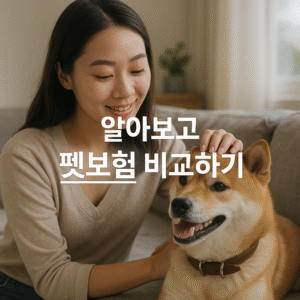 펫보험 비교하기