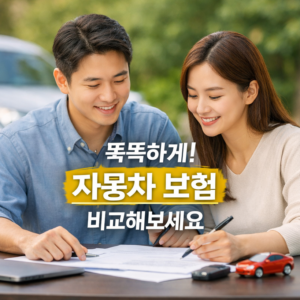 자동차 보험 비교