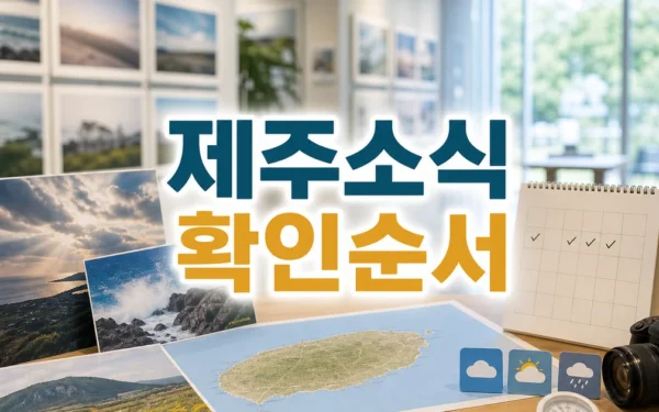 제주소식 핵심 쟁점과 실제 확인 순서 실제 행동 전 체크포인트