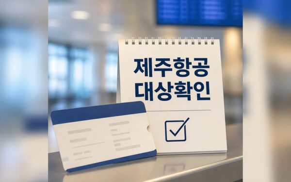 현장 안전이 최우선 김이배 제주항공 대표 대상과 시점 확인 방법 가이드