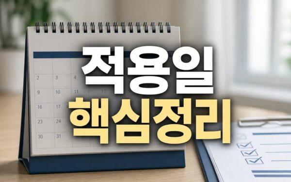 6·3 지선 2026 적용일과 확인 방법 총정리 최신 기준