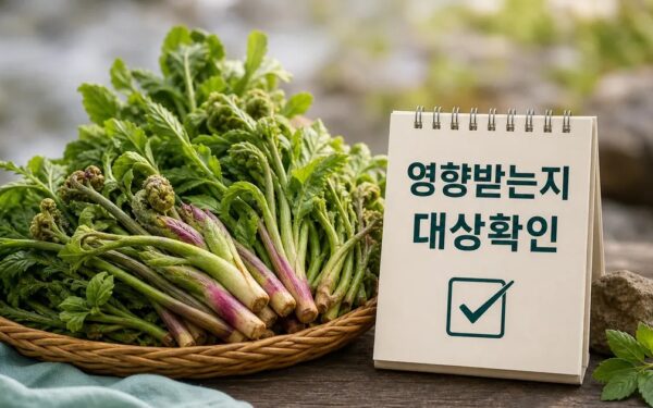 산나물 캐러 누가 영향받는지 먼저 보기 영향 대상과 후속 공지 보기