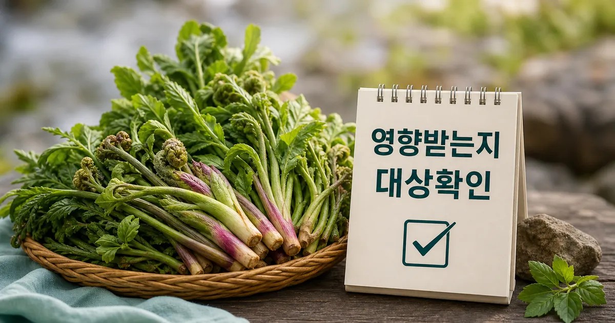산나물 캐러 누가 영향받는지 먼저 보기 영향 대상과 후속 공지 보기 대표 썸네일
