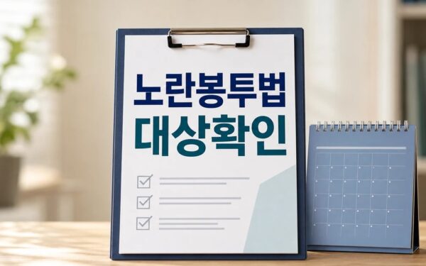 민주노총 노란봉투법 시행령 2026 영향 대상과 확인 방법 가이드